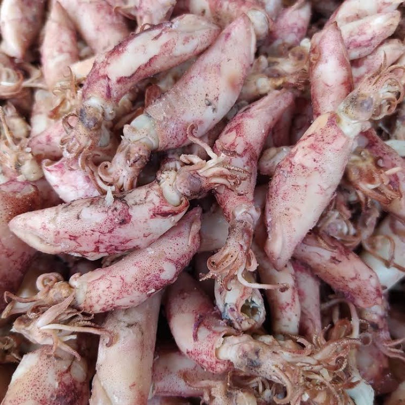 

Cumi Asin 1/2 Kg