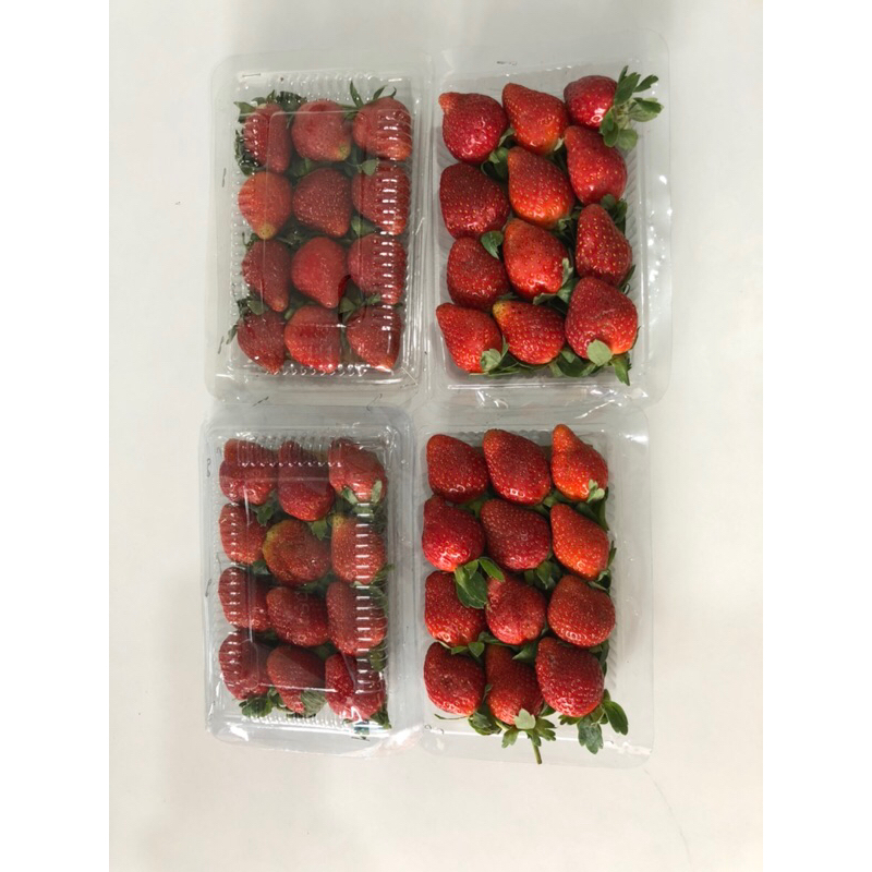 

STRAWBERRY FRESH JUMBO