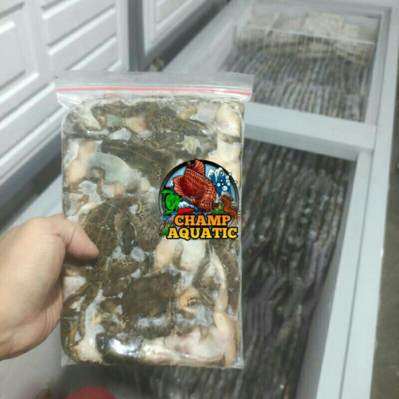 KODOK SAWAH BEKU / KODOK SAWAH BEKU 500GR / KATAK SAWAH BEKU / KATAK BEKU MURAH / KODOK BEKU