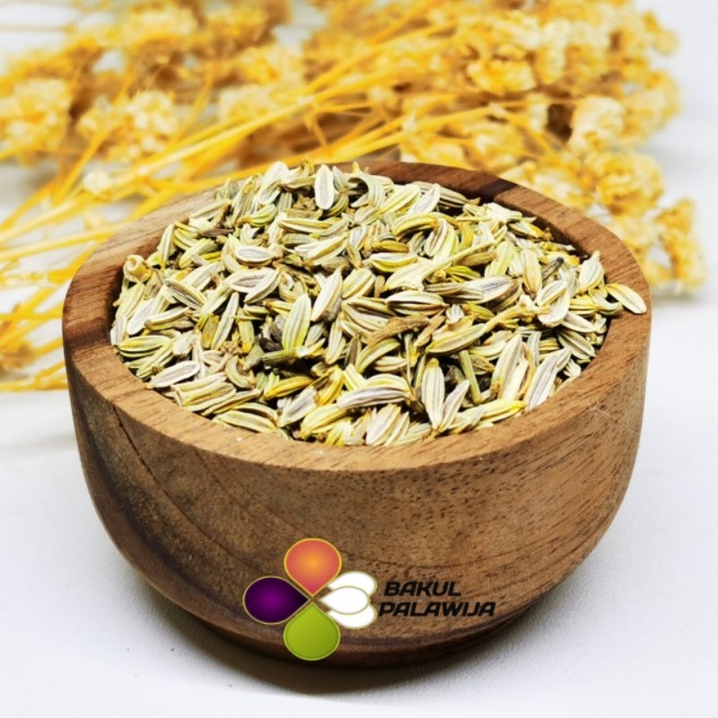 

ADAS MANIS FENNEL SEED HERBAL TRADISIONAL BATUK ASMA BIJI ADAS REMPAH ORIENTAL KERING BUMBU DAPUR PREMIUM ORIGINAL