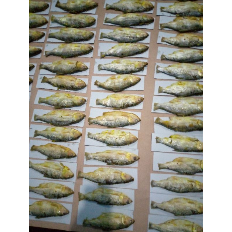 

bandeng presto kemasan vavum