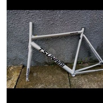 Frame tsunami SNM100 Silver size L BD