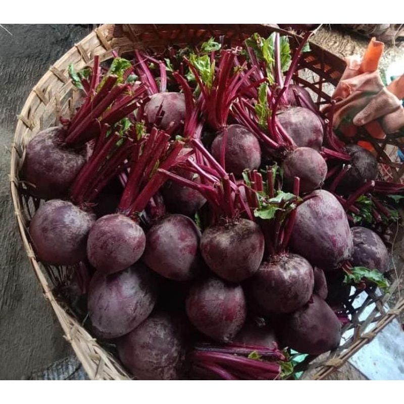 

buah bit / beet root 500 gram
