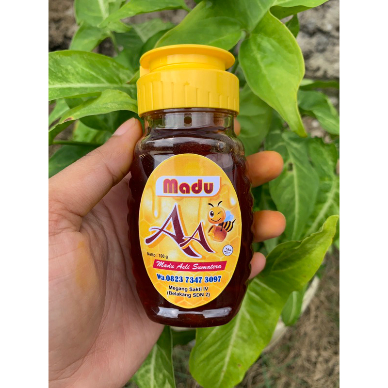 

MADU Apis Mellifera Asli Sumatera