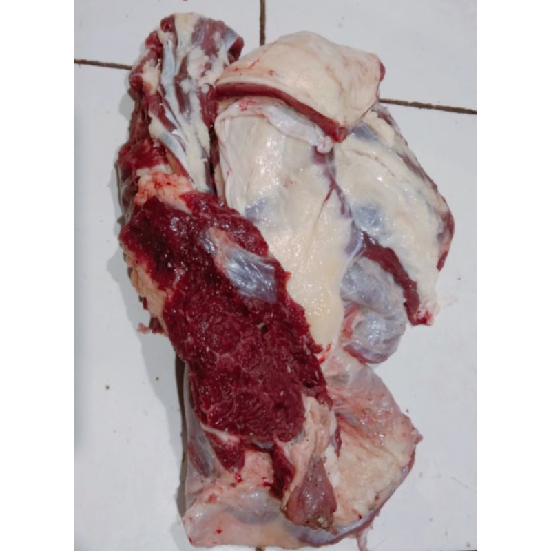 

Daging Iga sapi fresh lokal 1 kg