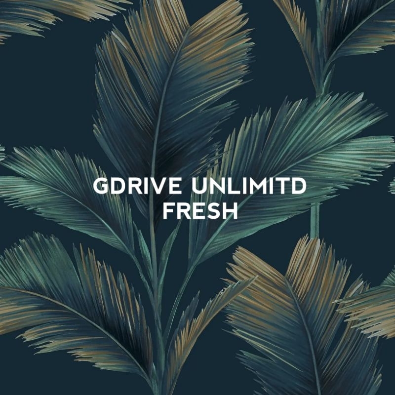 Drive Unlimited Storage