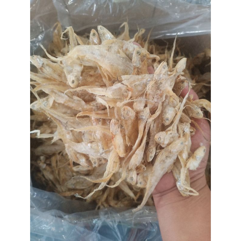 

iKan Asin Bulu Ayam Asin Fresh