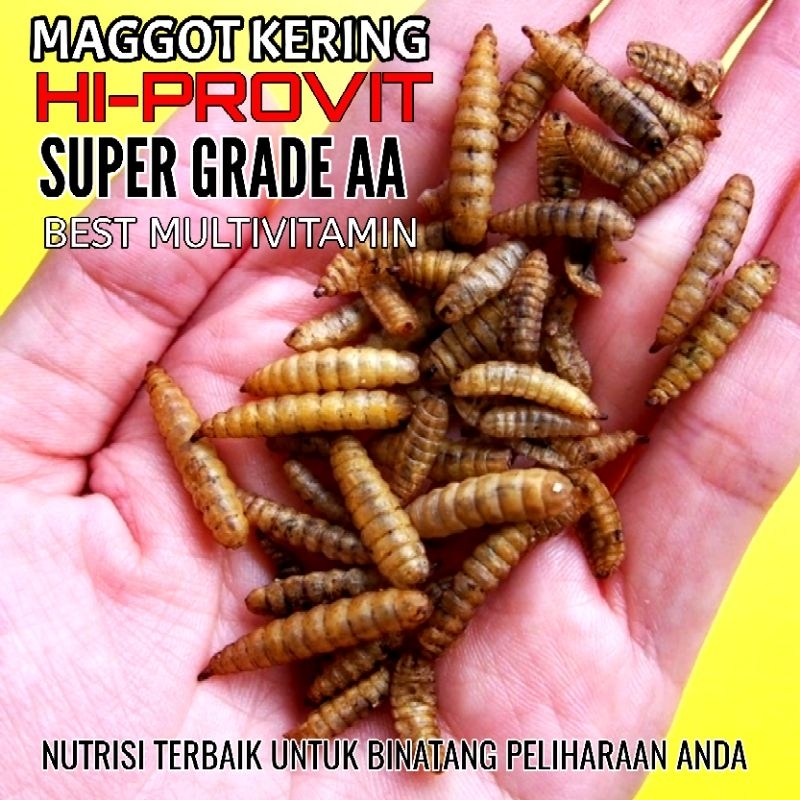 Maggot Kering HI-PROVIT Pakan Gecko,Ikan,Murai,Dll