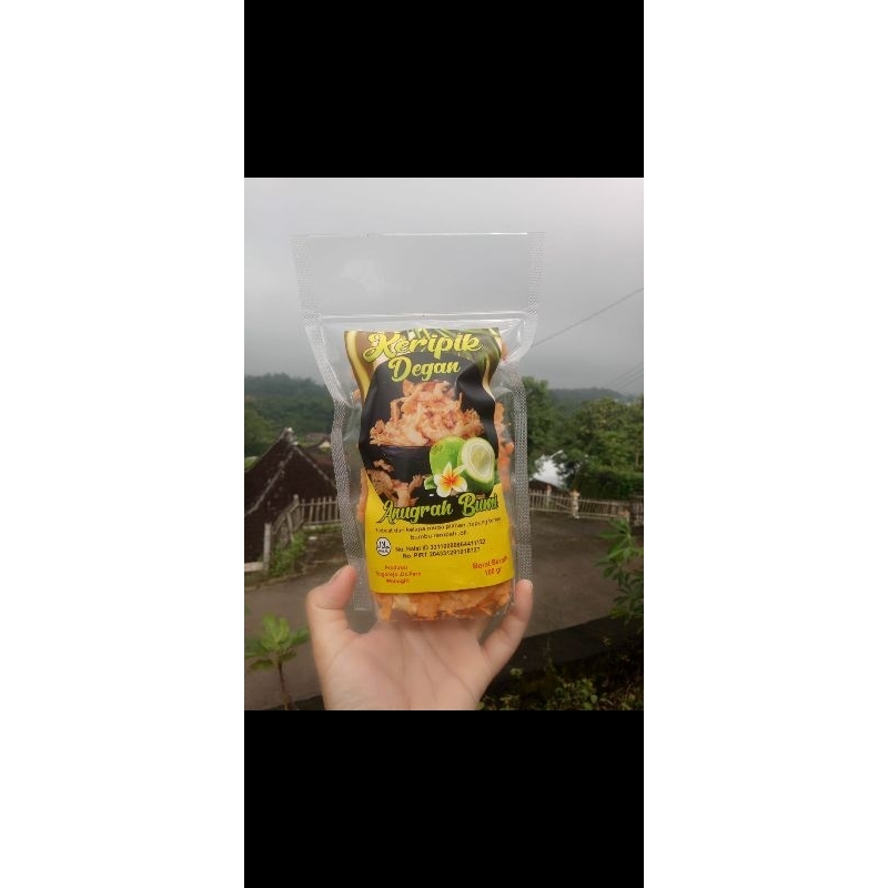 

kripik kelapa muda kemasan 100 gram