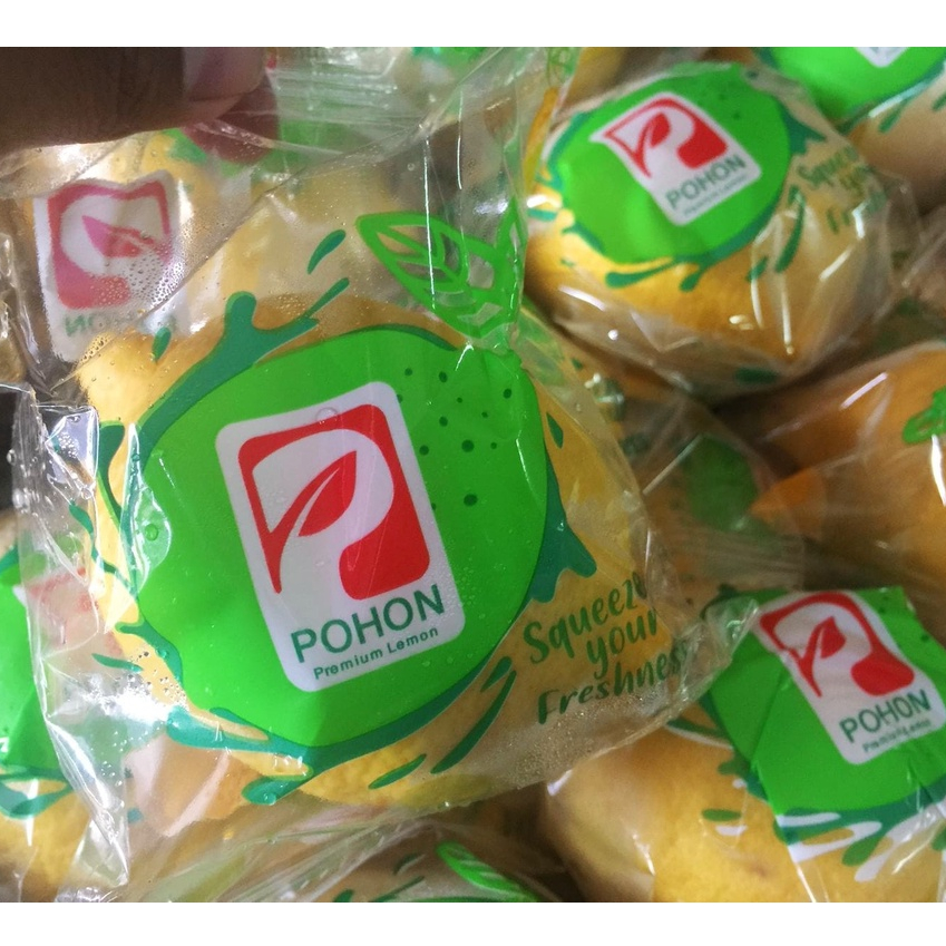 Lemon Import Segar - Lebih Banyak Air dan Menarik | Lemon Alpucado