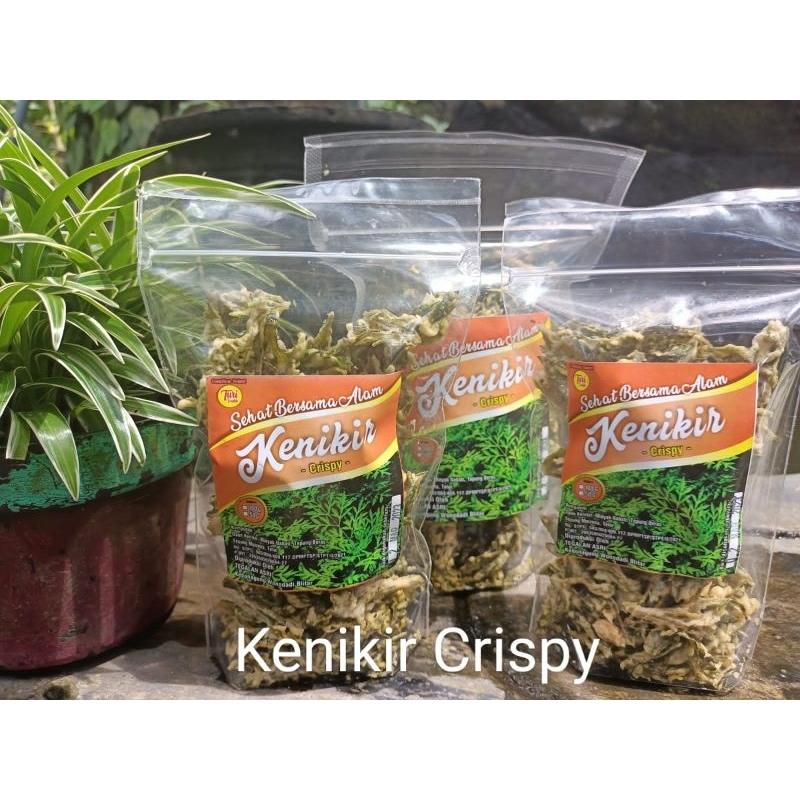 

keripik kenikir crispy