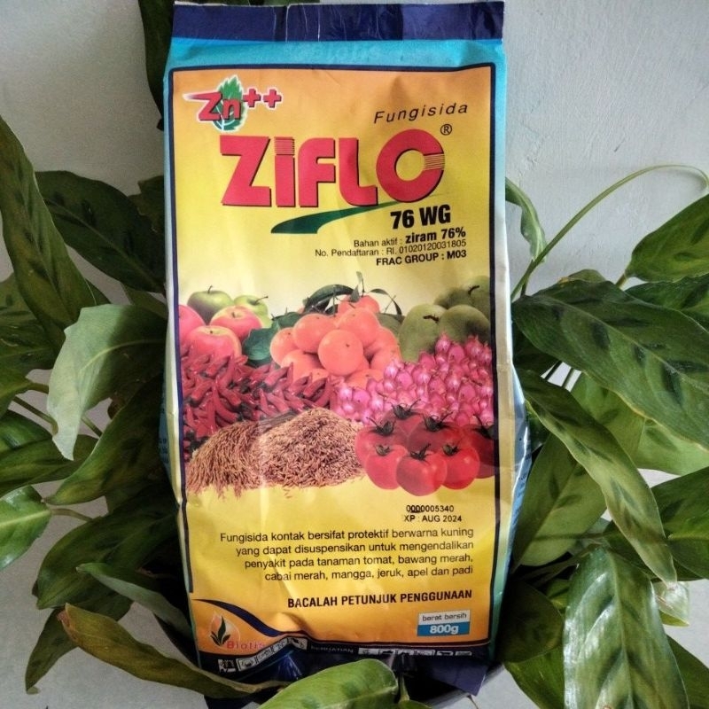 ZIFLO 76 WG 800 gram