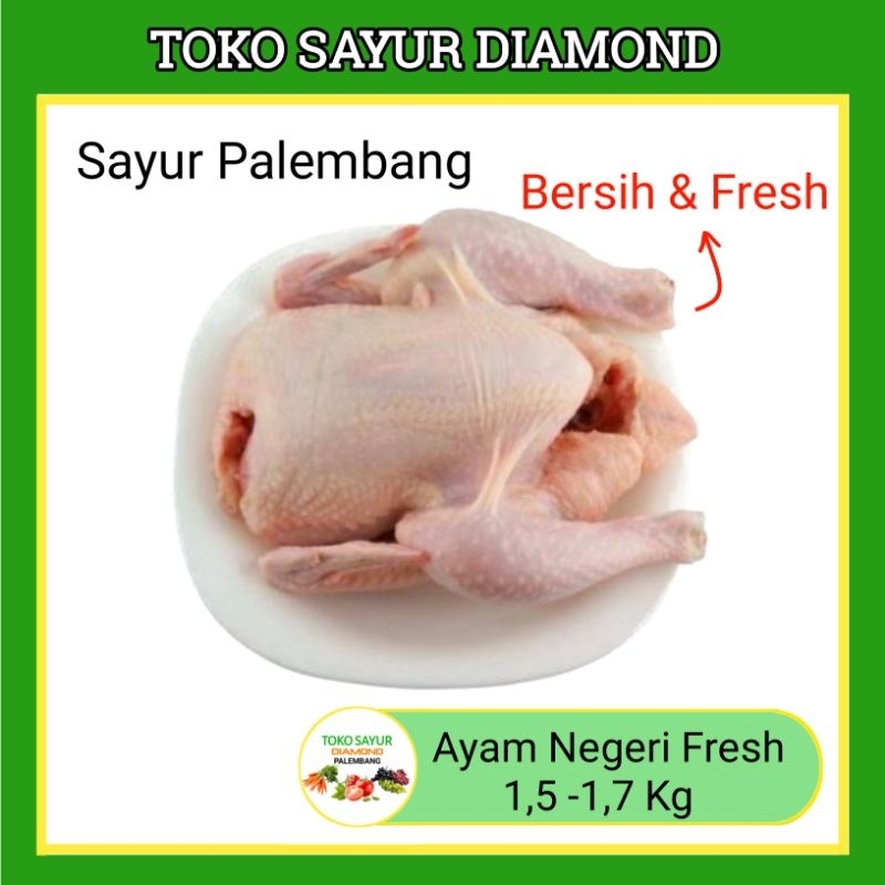 

Ayam Negeri Fresh 1,5kg-1,7kg - Diamond Palembang