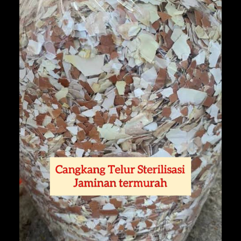 Cangkang Telur Ayam Sterilisasi/Cangkang Telur Pupuk/Cangkang Telur Ayam