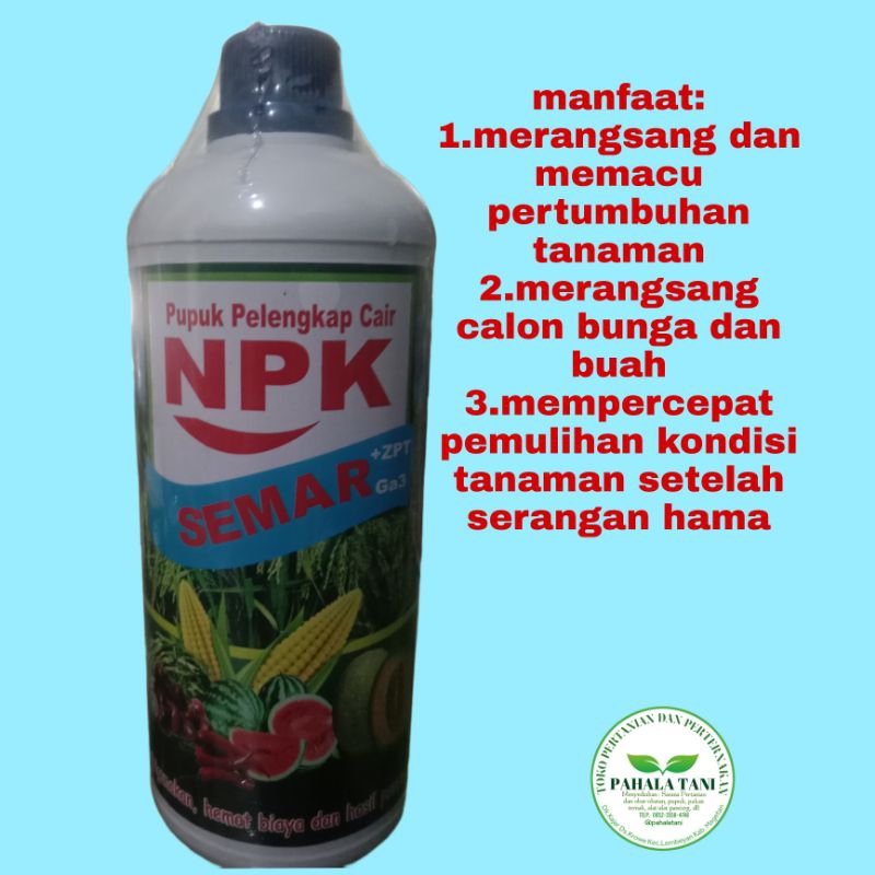 NPK SEMAR 1000ml/pupuk pelengkap cair/npk cair/pupuk npk +zpt+Ga3