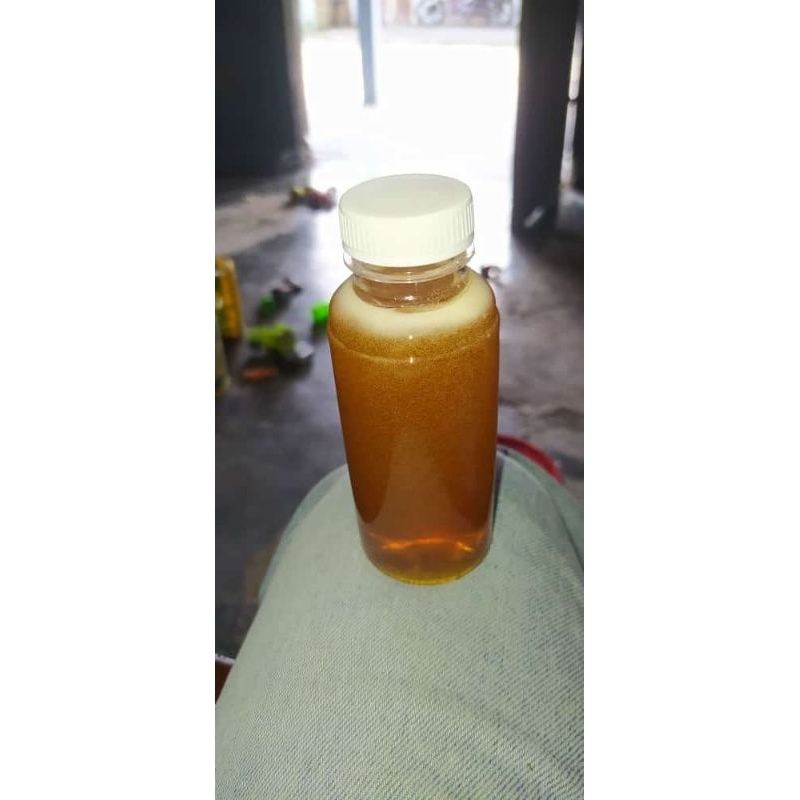 

Madu murni multiflora