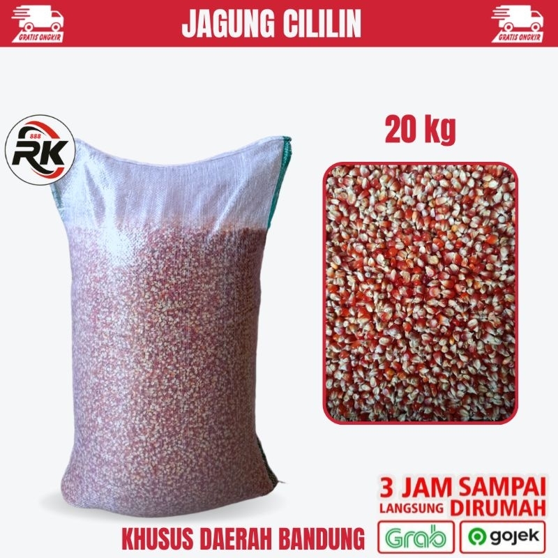 JAGUNG CILILIN GREAT A 20 KG PAKAN MAKANAN BURUNG MERPATI DARA AYAM
