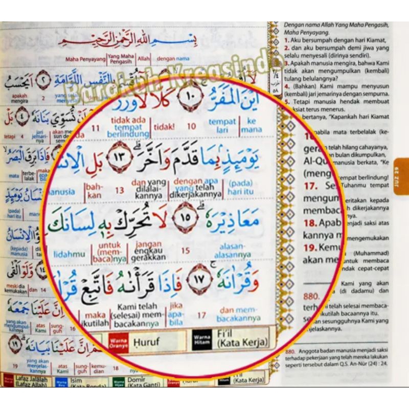 Quran Nahwu Quran Shorof Quran Al-Arobiyyah Quran Perkata Quran Perhuruf Quran Tajwid Quran Hafalan