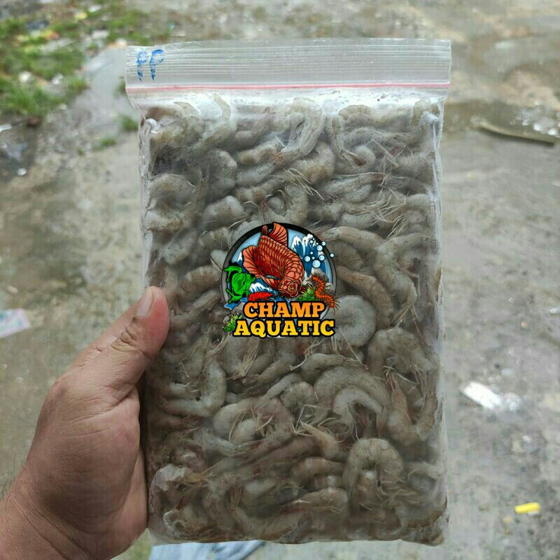 UDANG API TANPA KEPALA / UDANG API BEKU 500GR / UDANG API MURAH / UDANG API