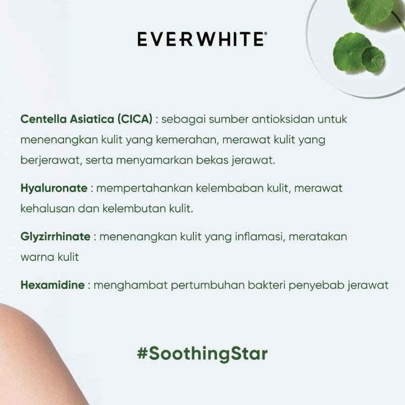 EVERWHITE CICA Soothing Toner