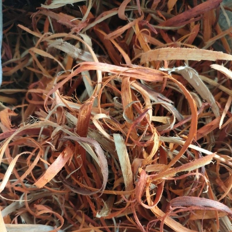

kayu secang serut