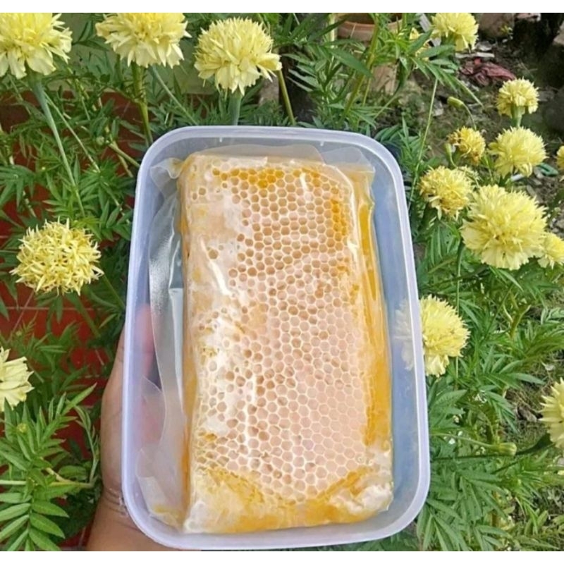 Madu Sarang/Sarang Madu Murni Asli Mellifera  Nett 250gr