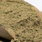 

TERBAIK DAUN SANGITAN BUBUK/BROBOS KEBO HERBAL-500 GRAM