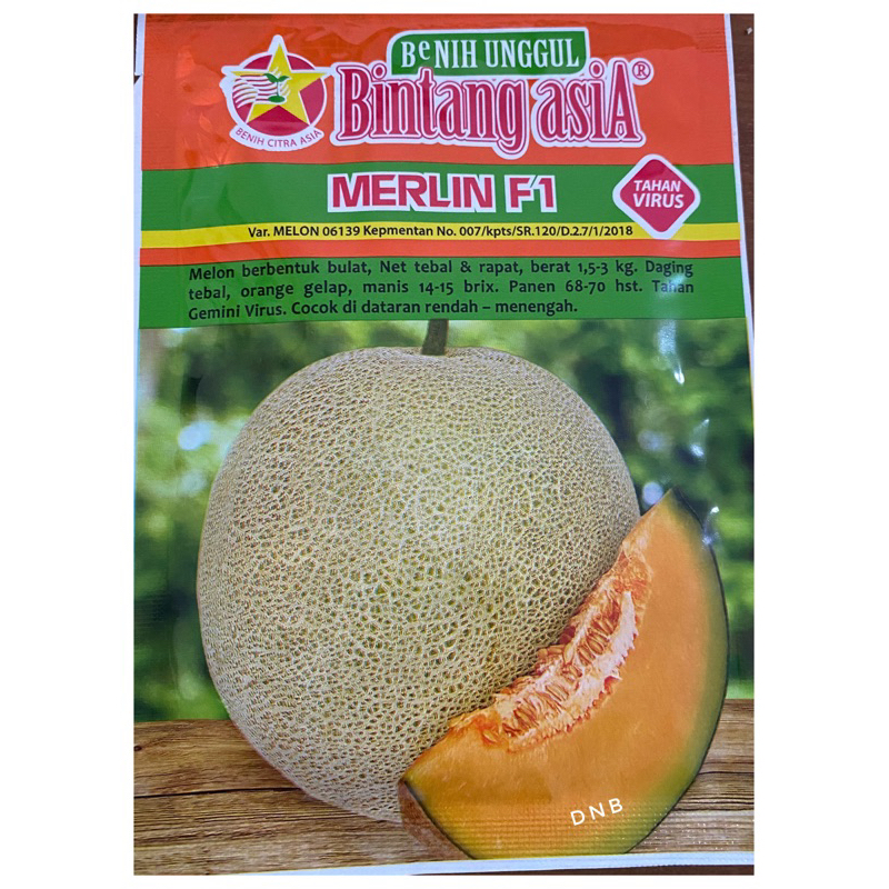 Benih melon MERLIN F1 bibit rock melon orange 20 gr BINTANG ASIA