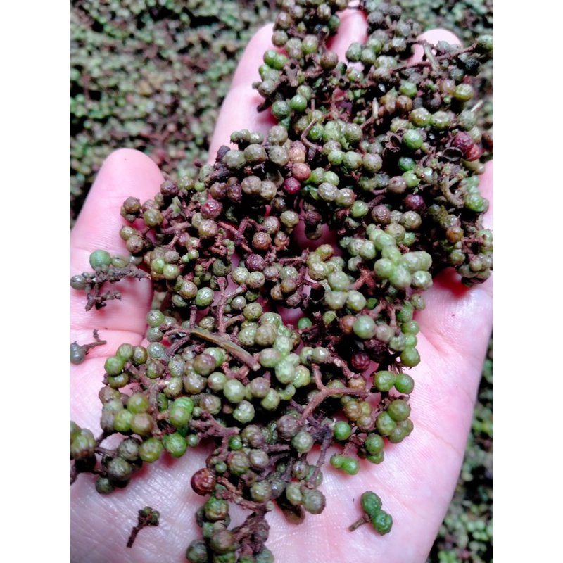 

Andaliman Organik Segar Rempah Batak 250gr