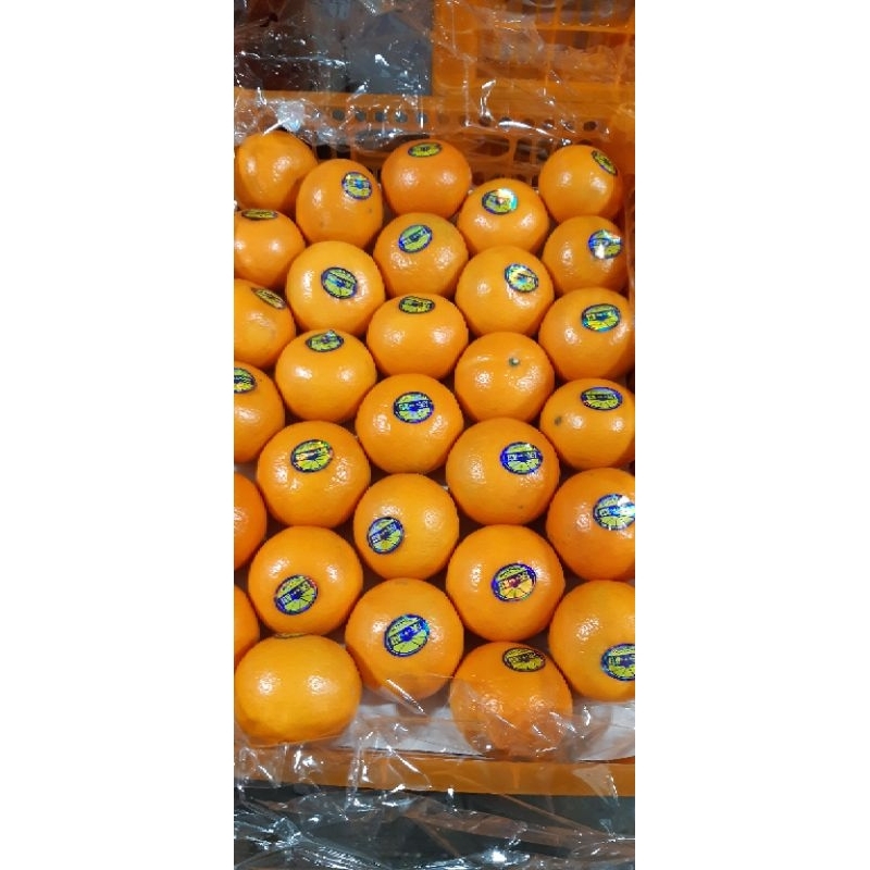Buah Jeruk Wogan 1 Keranjang Jeruk Wokan Jeruk Manis Jeruk Imlek Jeruk Mandarin Wogan Jeruk Mandarin