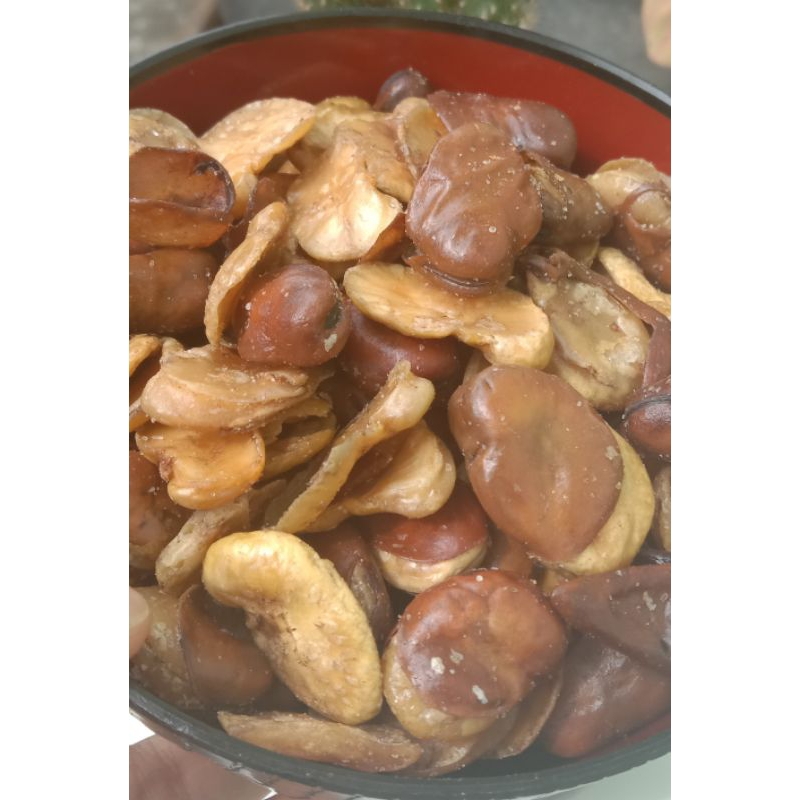 

Kacang Monyet