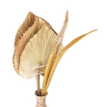 Bunga pampas rayung kering / daun palem kering / hiasan bunga kering