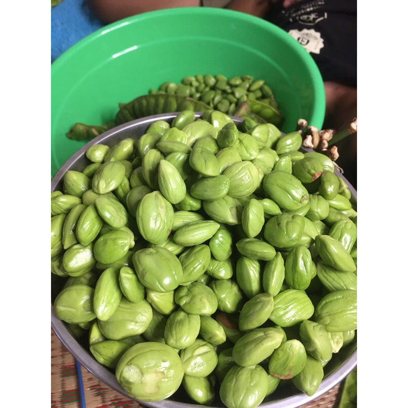 

PETE KUPAS PREMIUM 1 KG ASLI WONOGIRI
