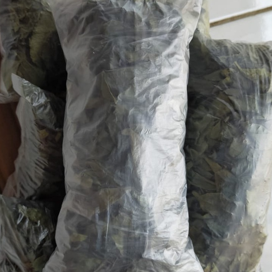 

TERBAIK JAMU DAUN KEJI BELING KERING -250 GRAM