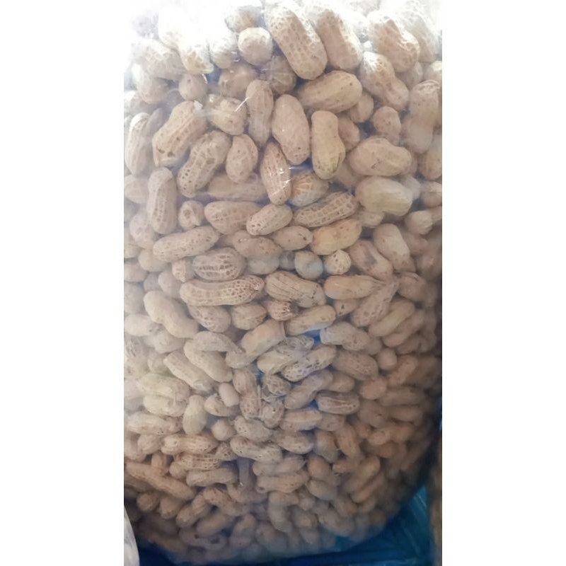 

kacang kulit oven 250gr