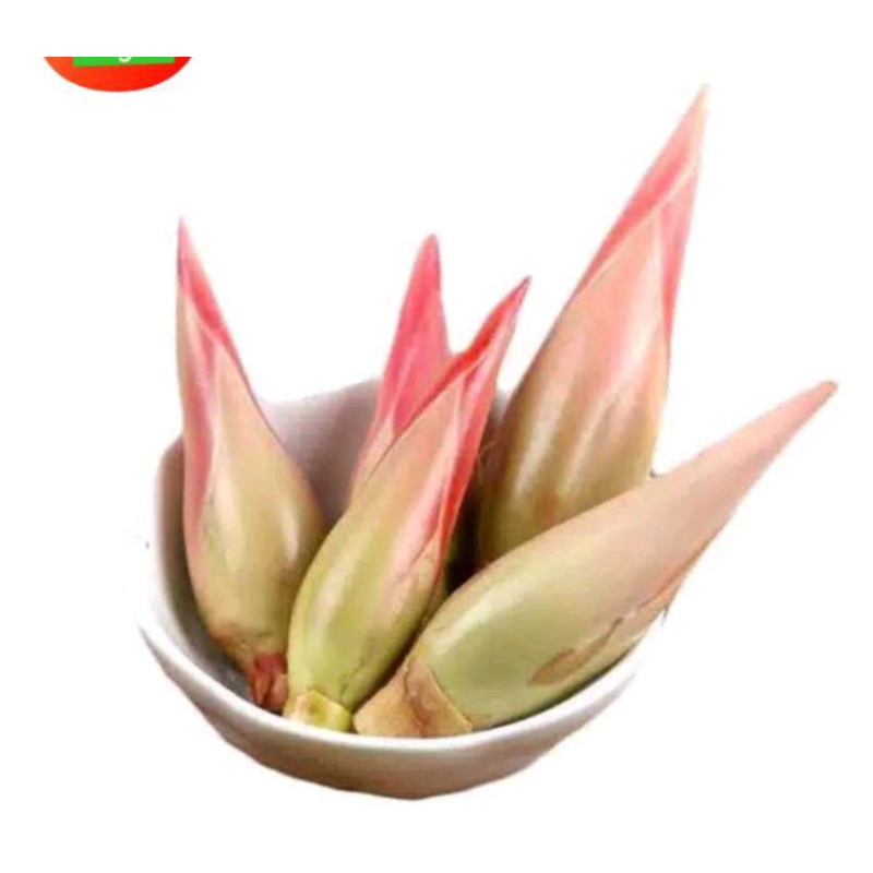 

kincong atau kecombrang perbiji