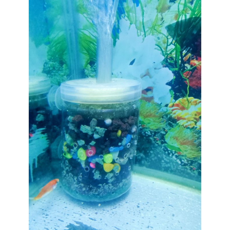 FILTER BIO FOAM AERATOR MEDIA PENJERNIH AIR AQUARIUM KOMPLIT