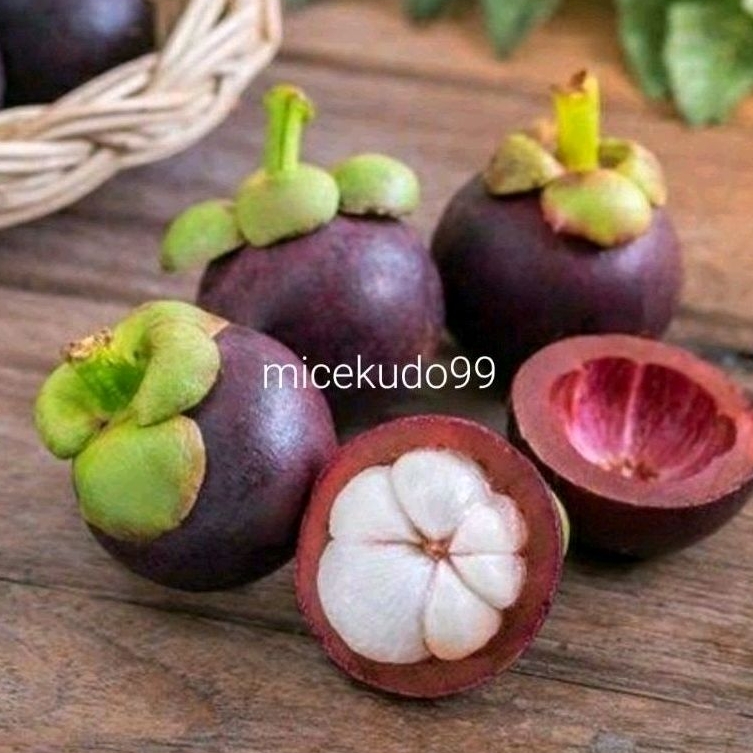 

BUAH MANGGIS ORGANIK SEGAR 1KG FRESH ORGANIC MANGOSTEEN FRUITS