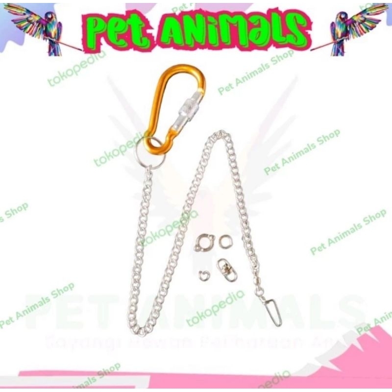 Rantai Kaki Ring Borgol Burung Nuri Ambon 5.5mm