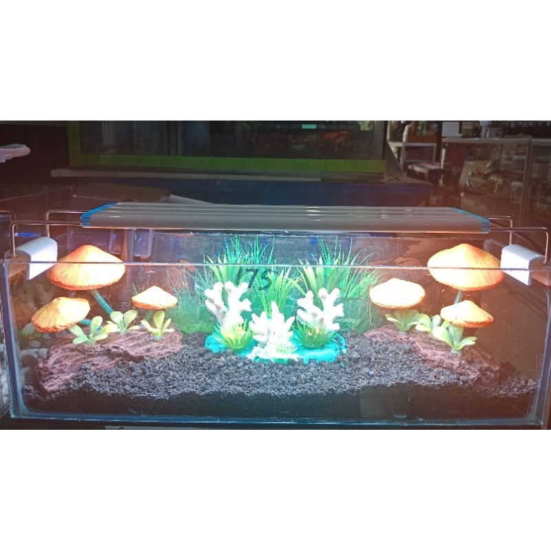 Promo Murah Lampu Led Lampu Atas Aquarium Aquascape LUCKINESS L 658