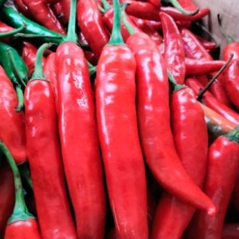 

Cabe merah besar / 250 gram