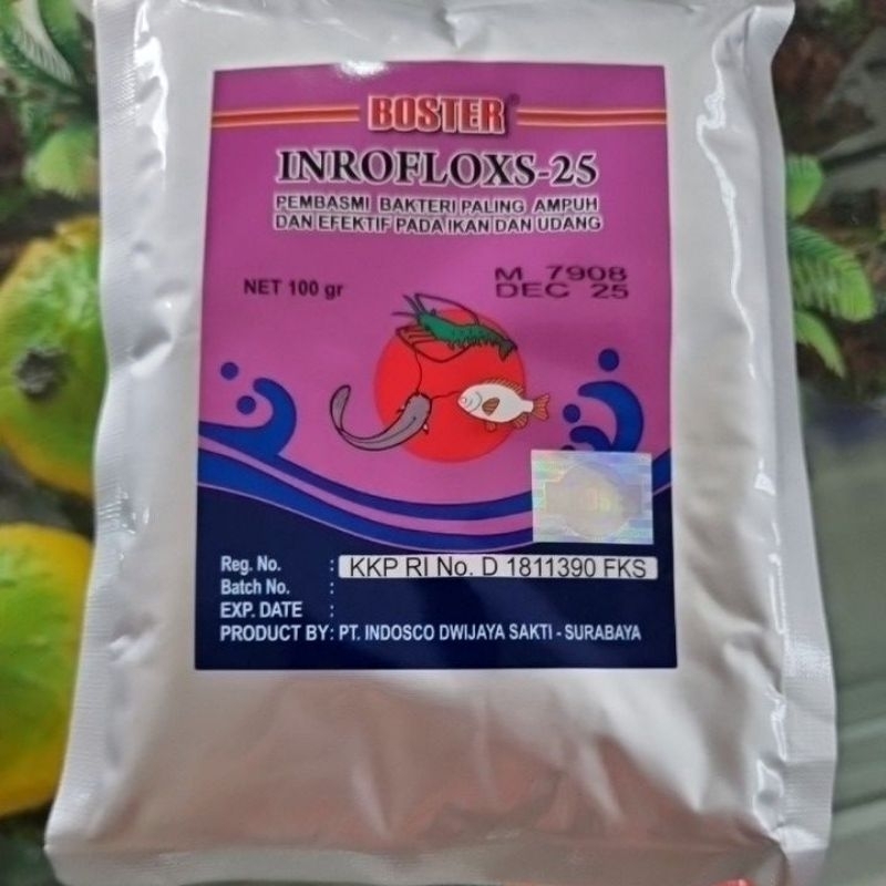 Inrofloxs 25 - Obat Bakteri Obat Jamur Ikan - Jamur Insang Ikan Koi Ikan Konsumsi