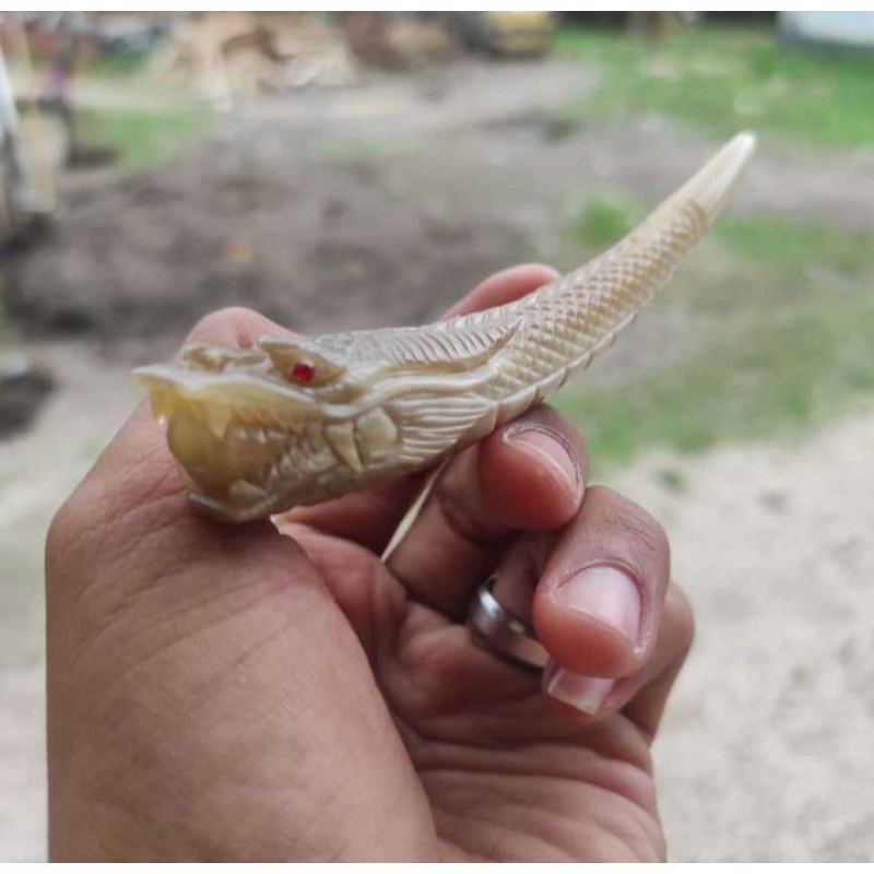 Nobira98 Once Tanduk Kerbau Bule Ukir Naga Dan Macan Panjang Bervariasi