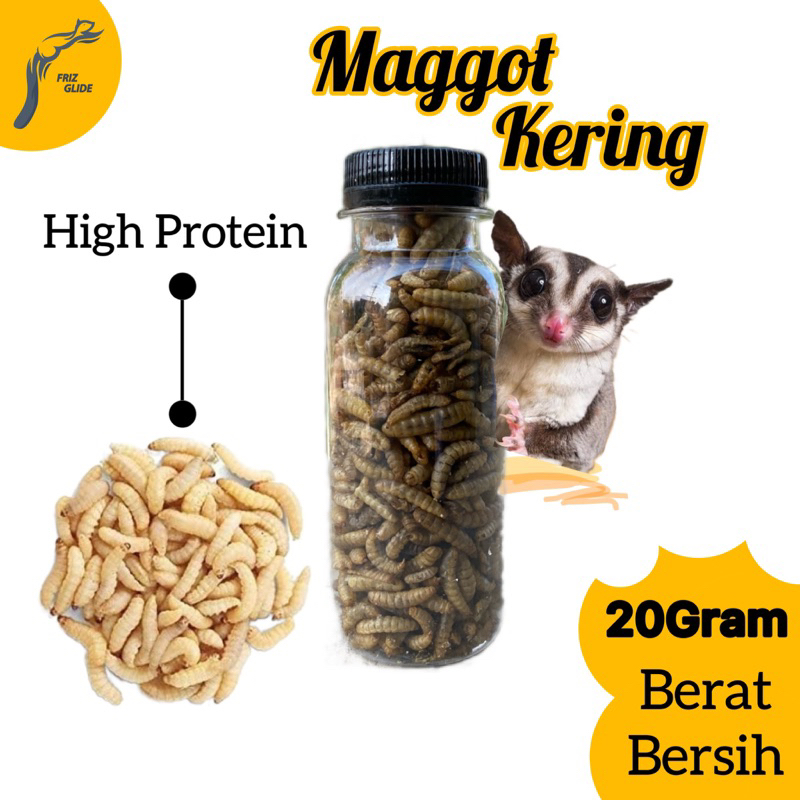 MAGGOT KERING SUGAR GLIDER IKAN HAMSTER LANDAK MAGGOT CHANNA IKAN CHANNA MAGGOT KERING DRIED FOOD MAGGOT SG TUPAI LANDAK MINI