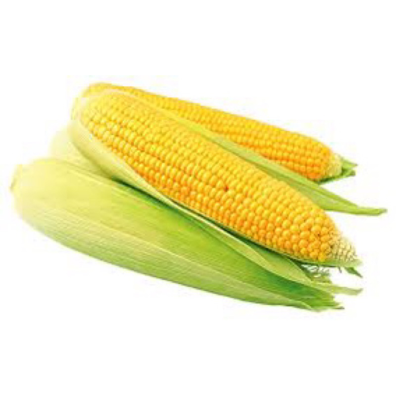

Jagung Manis Harga Pasar / Biji