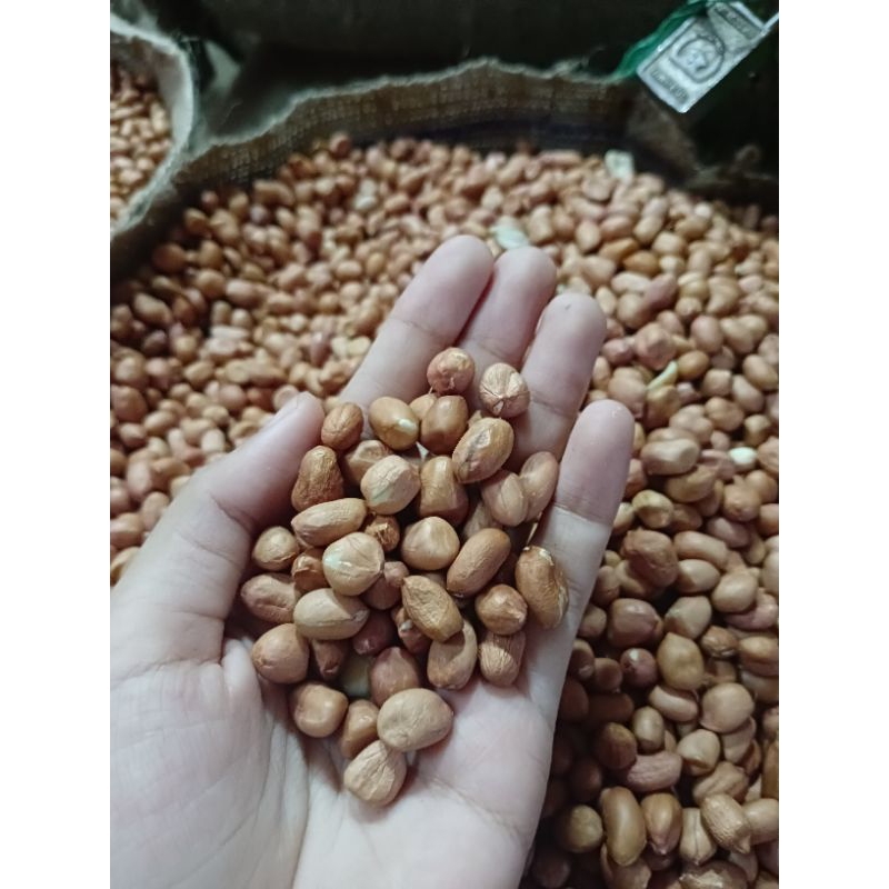 

Kacang Tanah India Besar 50/60 Kemasan 1 kg