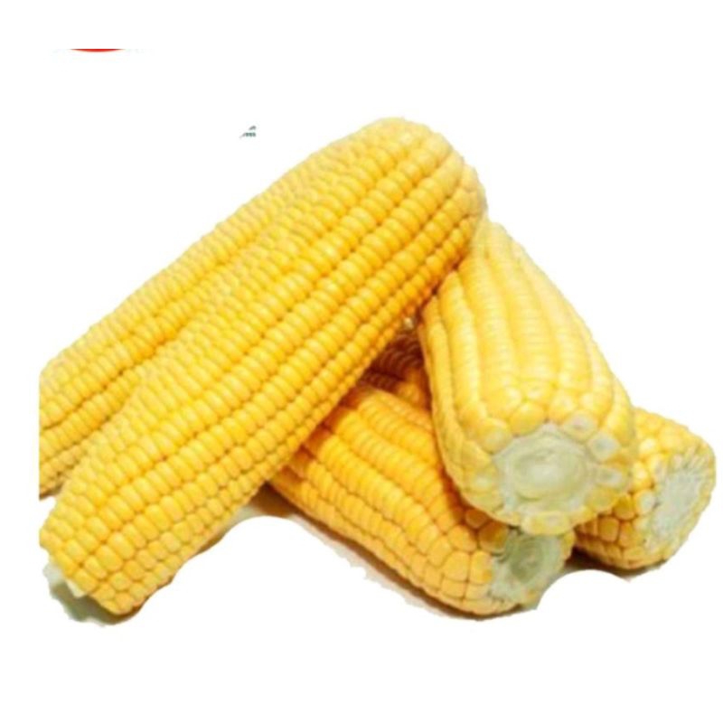 

jagung manis tanpa kulit 1 kg