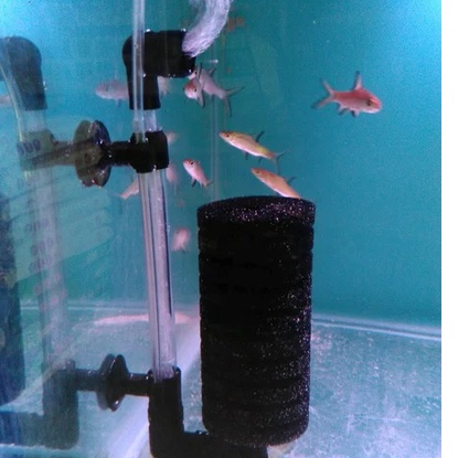Filter bio sponge aquarium, filter aquarium bio sponge, bio sponge aquarium, Bio sponge filter RECEN