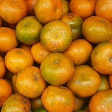 

Jeruk Medan brastagi manis 1kg
