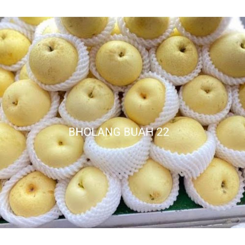 

PIR CENTURY SEGAR DAN FRESH ISI 1KG